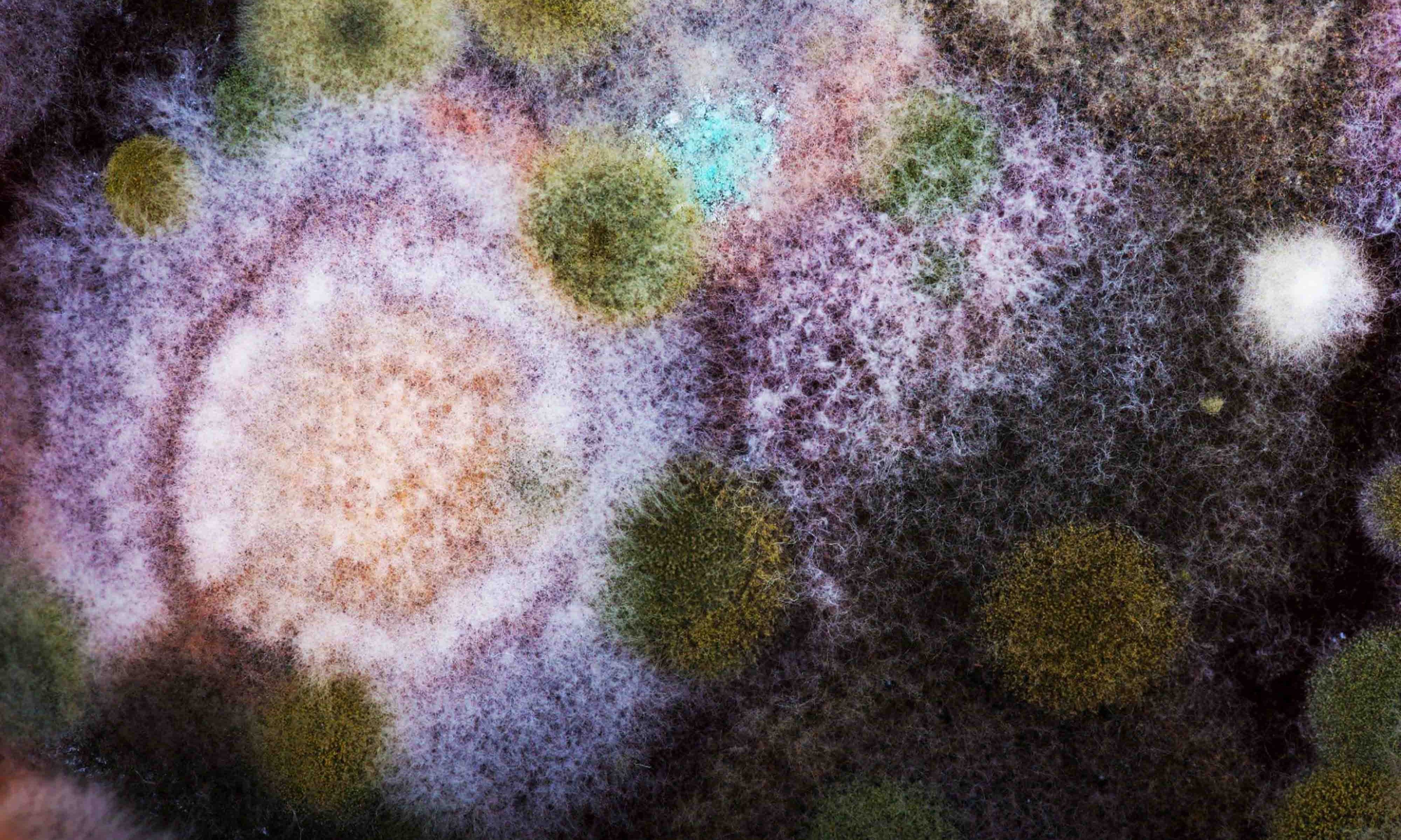De ce este important microbiomul în îngrijirea pielii?