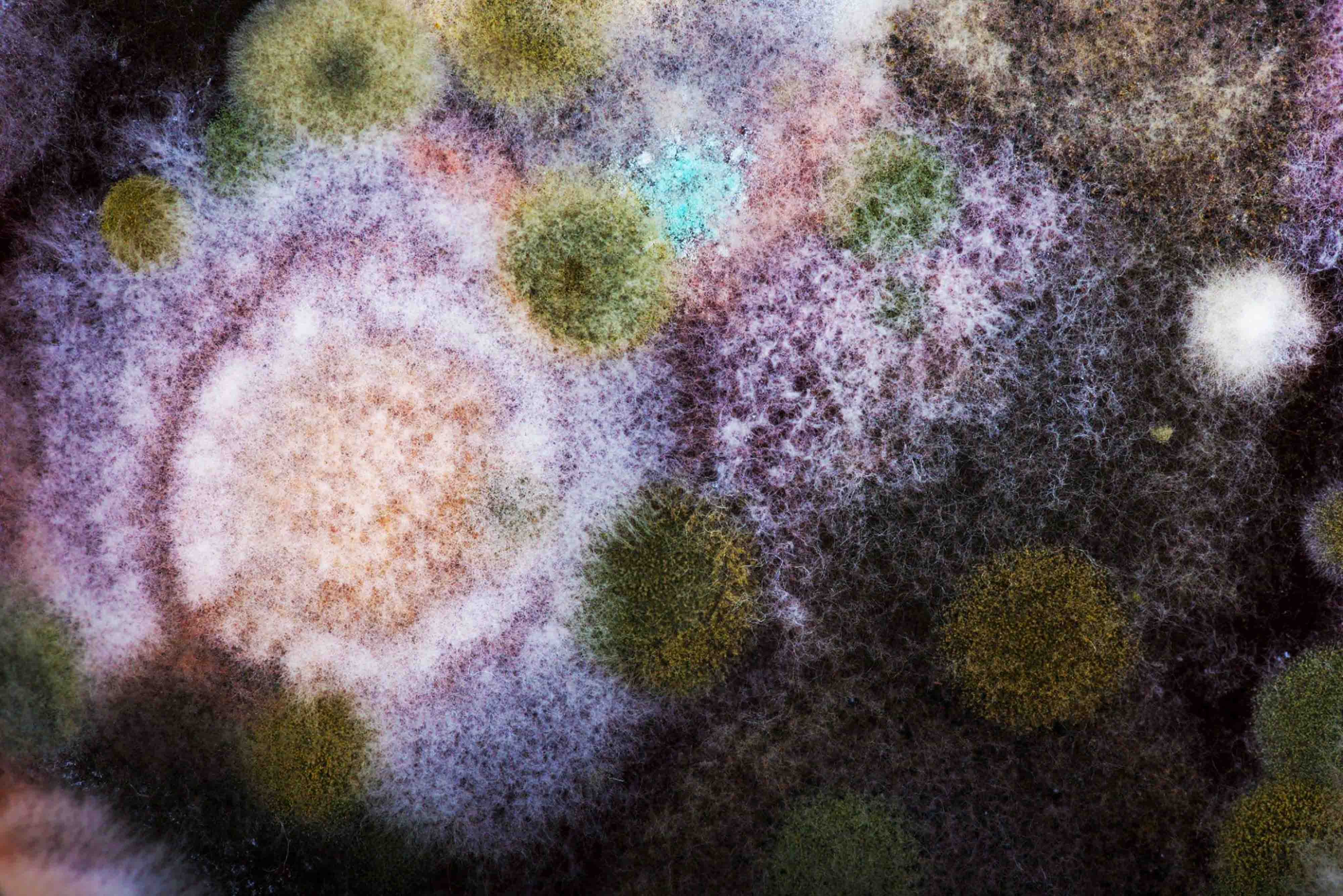 De ce este important microbiomul în îngrijirea pielii?